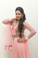 Himaja Photos at Shivam Audio Release
